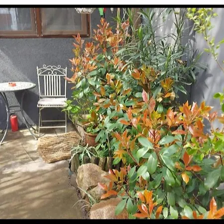 The Cozy Corner בית אירוח